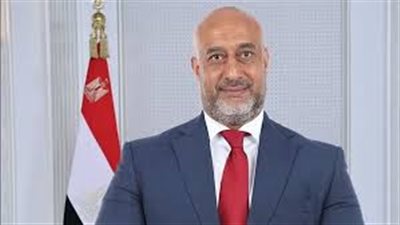 “تحركات لزعزعة الاستقرار الداخلي”.. برلماني يكشف أهداف تحركات الإخوان بالخارج