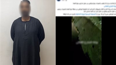 خلافات جيرة.. ضبط عامل اعترض طريق مهندس ومنعه من الوصول لمنزله في قنا