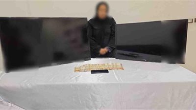 الأمن يكشف تفاصيل سرقة فيلا دبلوماسي بالشيخ زايد ويضبط المتهمة