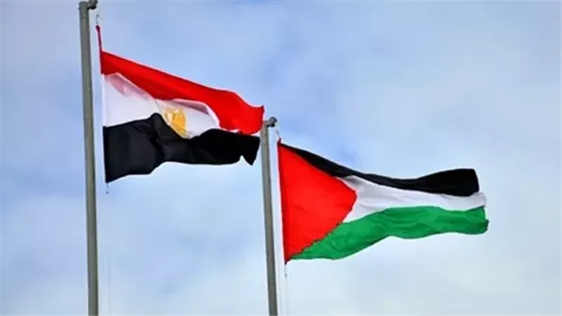 مصر مستمرة في الدفاع