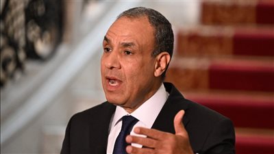 وزير الخارجية: علاقات مصر مع دول حوض النيل مستقرة باستثناء حالة واحدة