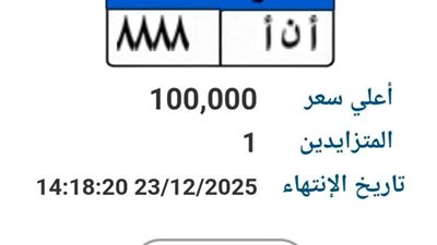مزاد على لوحة معدنية مميزة «أ ن أ 888» بسعر يصل إلى 100 ألف جنيه 