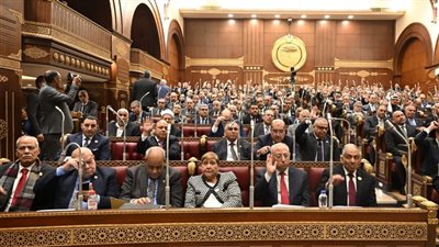 الشيوخ يناقش تعديلات قانون الكهرباء ومطالب بآليات ذكية لمواجهة سرقة التيار