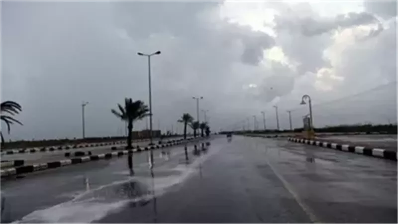 ارشفية
