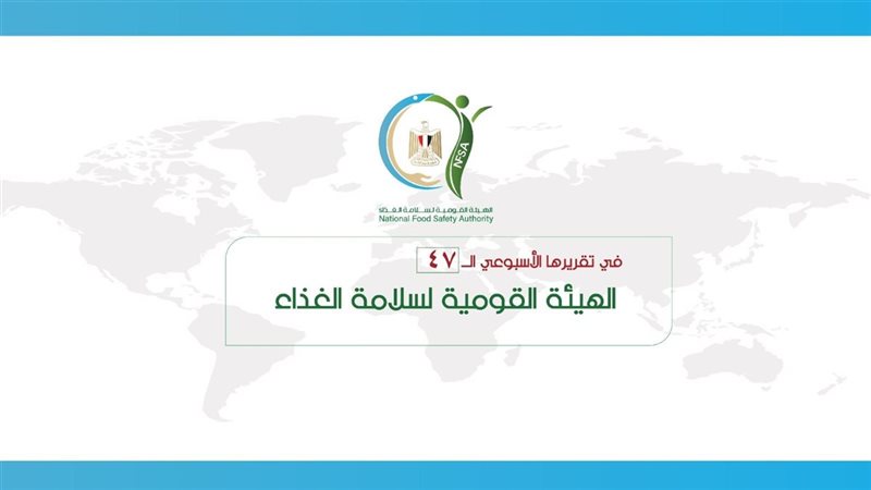 الهيئة القومية لسلامة