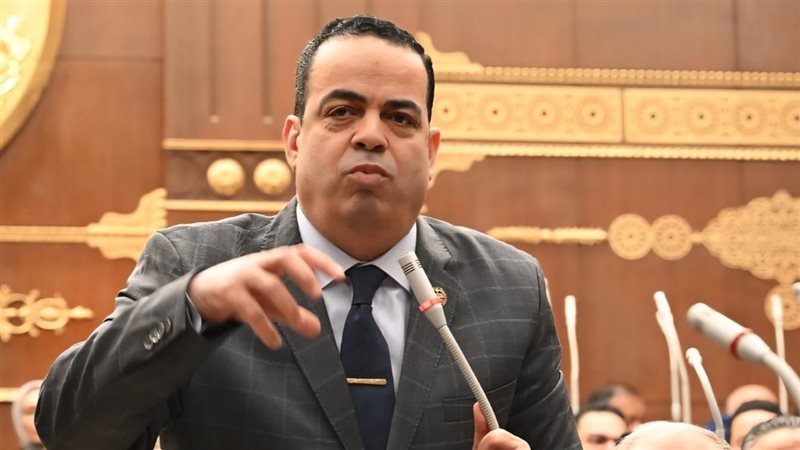 النائب عصام عفيفي