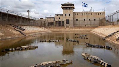 مصلحة السجون الإسرائيلية تدرس إنشاء معتقل محاط بسياج من التماسيح للفلسطينيين