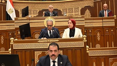 مجلس الشيوخ يوافق على تعديلات قانون الكهرباء من حيث المبدأ 