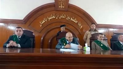 إحالة أوراق كهربائى لمفتي الجمهورية لقيامه بقتل زوجته بالبحيرة