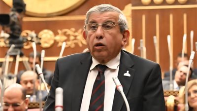 برلماني يطالب بتفعيل قوانين مواجهة المراهنات وتطوير الإدارة بمراكز الشباب 