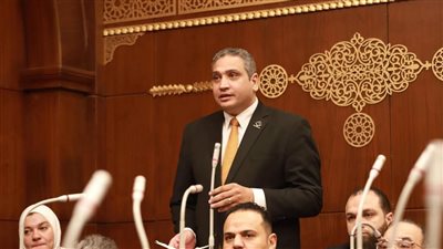 عماد خليل: تعديلات قانون الكهرباء المعروضة تحقق الردع 