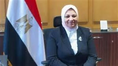 نائب وزير الكهرباء والطاقة المتجددة: قدمت عرضاً تفصيلياً أمام الجلسة العامة 