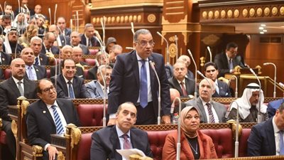 محمود مسلم: المساواة بين المستشفيات الحكومية والجامعية الخاصة غير عادلة