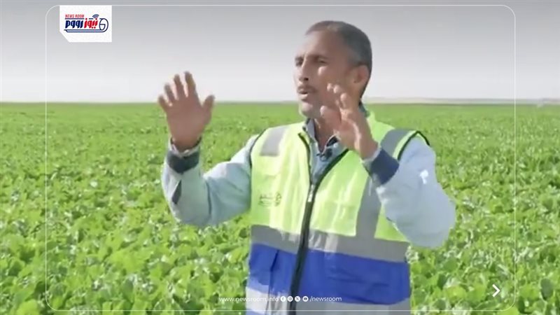 علي عبدالمنعم المنشاوي