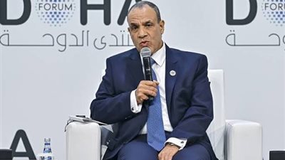 وزير الخارجية: مصر لن تقبل المساس بوحدة السودان أو انهيار مؤسساته الوطنية