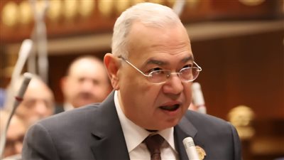 تحت قبة مجلس الشيوخ| عصام خليل: تشديد عقوبة سرقة الكهرباء ضرورة لحماية المواطن