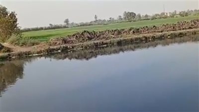 البيئة تفحص بلاغا عن جسم غريب يشبه التمساح في مصرف بالشرقية