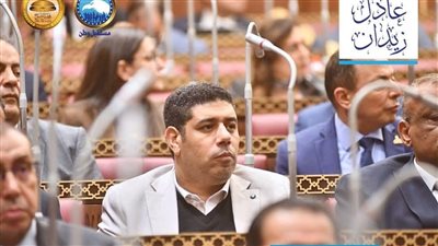 النائب عادل زيدان: تعديل قانون الكهرباء خطوة حاسمة لحماية حق الدولة