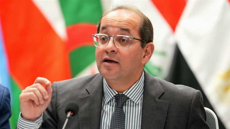 وزير المالية