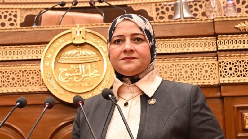 النائبة مروة قنصوة