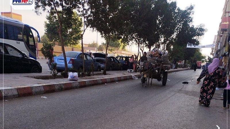 أطفال قنا الشقيانة
