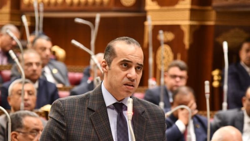 محمود فوزي