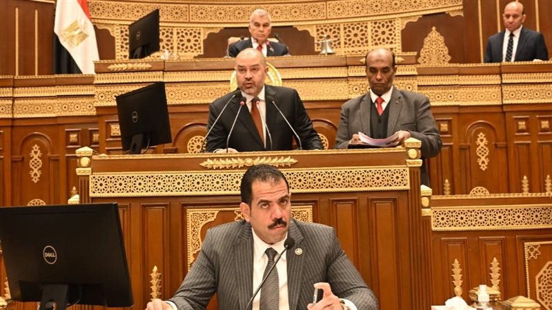 مجلس الشيوخ
