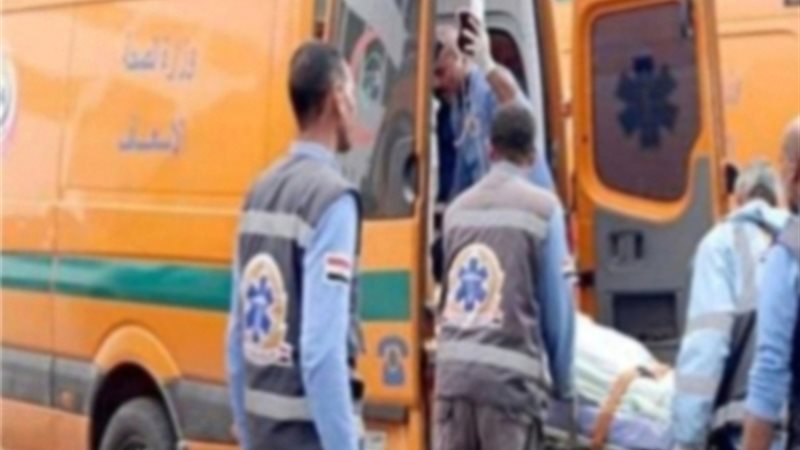 إصابة 11 شخصاً فى