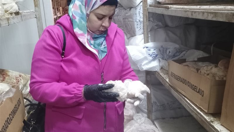 جانب من الحملة 