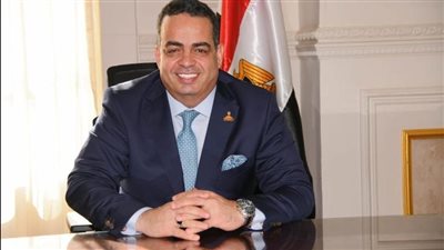  تمت «بيد جراح».. النائب عصام عفيفي يشيد بتعديلات قانون الكهرباء 