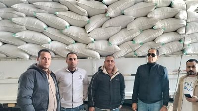 ضبط سيارة محملة بـ179 شيكارة نخالة قبل بيعها بالسوق السوداء في البحيرة