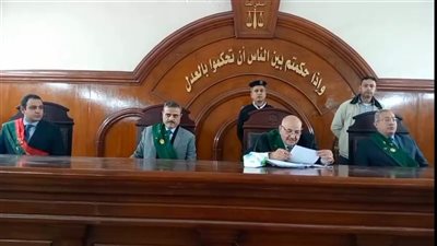 إحالة متهم بخطف وهتك عرض طفلة إلى المفتي بعد قرار محكمة دمنهور