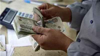 مفاجأة من مجلس الشيوخ.. هل تزيد المعاشات بنسبة أعلى من 15% قريبا؟
