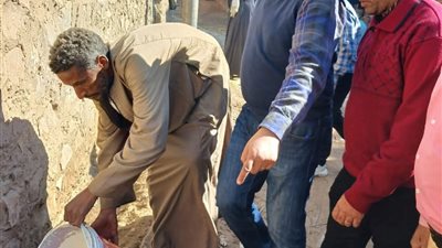الزراعة تطلق حملات مكثفة لمكافحة النمل الأبيض بالمحافظات والمبيدات