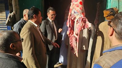 تعاون بين الطب البيطري والتموين يفضح أختاما وهمية على اللحوم بالأقصر