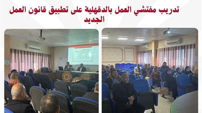 وزارة العمل تستعرض نشاط المديريات بالمحافظات خلال أسبوع