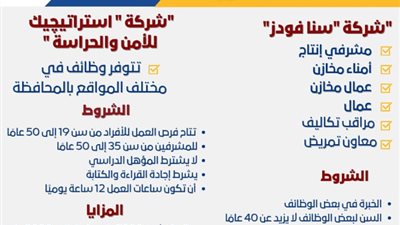توفير أكثر من 300 فرصة عمل متنوعة بمزايا مالية واجتماعية وصحية لأبناء البحيرة