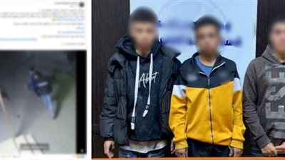بسبب وقوفهم أمام منزلها.. كشف حقيقة فيديو تعدى شباب على سيدة بالجيزة 