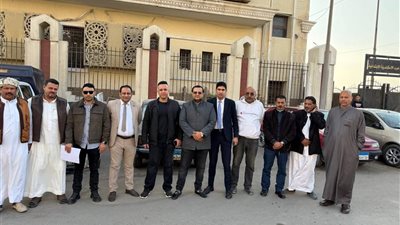 القبض على تيك توكر وشقيقه لنشرهما فيديو يسيء للقبائل العربية بالإسكندرية 