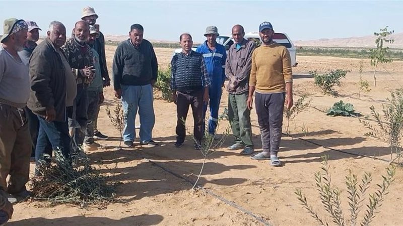 بحوث الصحراء