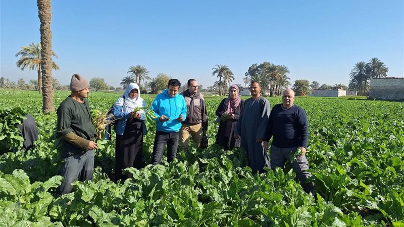 جهود مديرية الزراعة