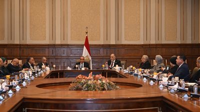 عبد العاطي: ملف حقوق الإنسان في مصر يخدم المواطنين ويرفض أي استغلال سياسي