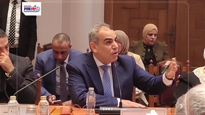 عبدالواحد النبوي: نحتاج استراتيجية لتعزيز صورة العرب والاستعداد لـ