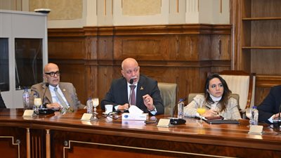 حازم الجندي لوزير الخارجية: الدبلوماسية المصرية حائط الصد في الدفاع عن الوطن