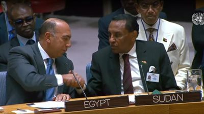 القاهرة والخرطوم إيد واحدة في مجلس الأمن.. السودان يشيد بدعم مصر