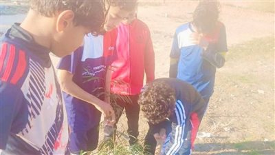 مركز شباب شطا ينفذ مبادرة تشجير لتعزيز المساحات الخضراء وخدمة المجتمع المحلي