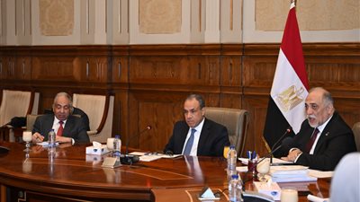 وزير الخارجية: الدولة هدمت 41 سجنًا وأنشأت مراكز تأهيل برعاية صحية وغذائية 