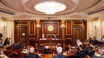 رانيا المشاط تستعرض رؤية وأولويات وزارة التخطيط أمام مجلس الشيوخ