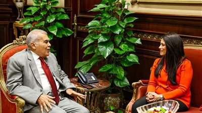 وزيرة التخطيط والتنمية الاقتصادية والتعاون الدولي تلتقي رئيس مجلس الشيوخ