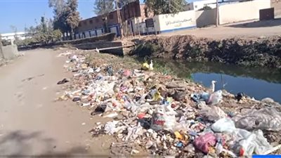 حياتنا في خطر.. أهالي التلين بالشرقية يستغيثون من انتشار القمامة على الطريق